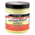 Aunt Jackies Curl Mane-Tenance Defining Curl Whip 15 oz Sale