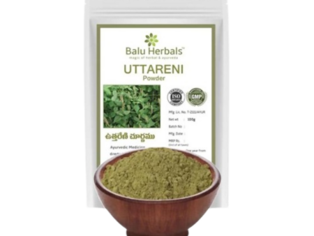 Balu Herbals Apang Seeds (Uttareni Ginjalu) Powder Online Sale