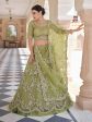 Myra Olive Green Net Embroidered Lehenga Hot on Sale