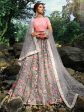 Myra Pink and Grey Net Embroidered Lehenga For Discount