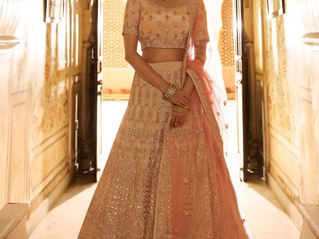 Myra Peach Crepe Embroidered Lehenga Cheap