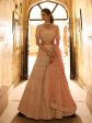 Myra Peach Crepe Embroidered Lehenga Cheap