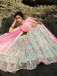 Myra Pink and Light Green Embroidered Net Lehenga Fashion