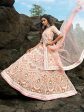 Myra Peach Embroidered Net Lehenga Choli Fashion