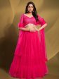 Myra Pink Soft Net Embroidered Designer Lehenga Hot on Sale