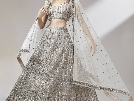 House of Panchhi Beige - Net Mirror & Sequins Embroiderey Lehenga choli on Sale