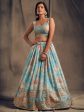 Myra Sky Blue Organza Silk Embroidered Lehenga Supply