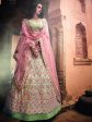 Myra Pista Green Heavy Embroidered Lehenga Choli on Sale