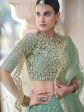 Myra Pista Net Embroidered Lehenga Cheap