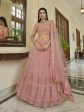 Myra Peach Soft Net Embroidered Lehenga on Sale