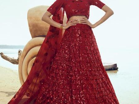 Myra Red Embroidered Net Lehenga For Cheap