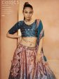 Myra Teal Blue Velvet Embroidered Designer Lehenga Choli on Sale