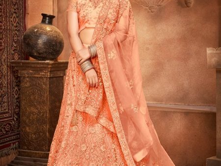 Myra Peach Heavy Embroidered Net Lehenga Online now