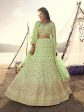 Myra Parrot Embroidered Organza Bridal Lehenga For Cheap