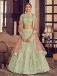 Myra Pista Green Crepe Embroidered Lehenga Online