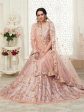 Myra Peach Mulberry Embroidered Lehenga Supply