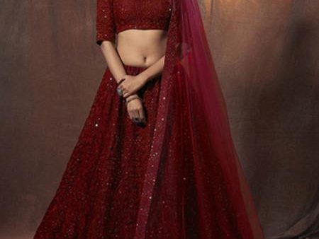 Myra Maroon Embroidered Soft Net Lehenga Discount