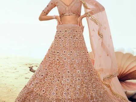 Myra Peach Embroidered Net Lehenga Supply