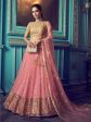 Myra Pink Heavy Embroidered Net Lehenga Cheap