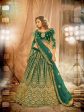 Myra Rama Green Heavy Embroidered Net Lehenga Online Sale