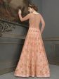 Myra Peach Soft Net Embroidered Handwork Gown Style Suit For Sale