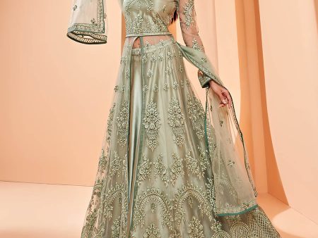 Myra Pista Green Butterfly Net Embroidery Anarkali Discount