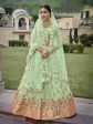 Myra Mint Green Net Heavy Embroidered Designer Lehenga Online now