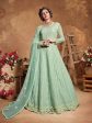 Myra Pastel Green Butterfly Net Embroidered Anarkali Suit Online Sale