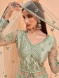 Myra Pista Green Butterfly Net Embroidery Anarkali Discount