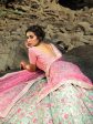 Myra Pink and Light Green Embroidered Net Lehenga Fashion