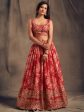 Myra Red Organza Silk Embroidered Lehenga Online Sale