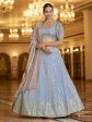 Myra Sky & Dusty Pink Gorgette Embroidered Designer Lehenga Choli Online Sale