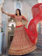 Myra Red Georgette Embroidered Lehenga Fashion