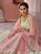 Myra Pista Green Embroidered Designer Lehenga Choli Supply