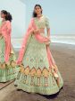 Myra Pista Green Gorgette Embroidered Designer Lehenga Choli Hot on Sale