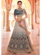 Myra Navy Blue Designer Hand work Lehenga Discount