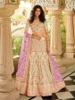 Myra Traditional Pista Organza Embroidered Lehenga Choli on Sale