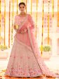 Myra Pink Georgette Heavy Embroidered Lehenga Online Hot Sale