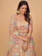 Myra Peach Soft Net Heavy Embroidered Designer Lehenga Online Sale