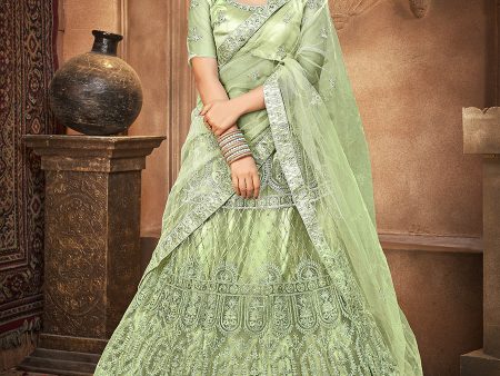 Myra Pista Heavy Embroidered Net Lehenga Discount