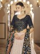 Myra Pink and Navy Blue Georgette Designer Lehenga Choli Online now