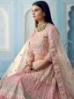 Myra Peach Organza Embroidered Lehenga For Cheap