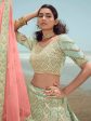 Myra Pista Green Gorgette Embroidered Designer Lehenga Choli Hot on Sale