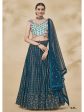 Myra Teal Green Georgette Embroidered Designer Lehenga Hot on Sale