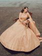 Myra Peach Organza Embroidered Designer Lehenga Choli Cheap