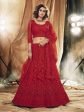 Myra Red Heavy Embroidered Net bridal Lehenga Hot on Sale