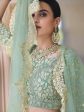 Myra Pista Net Embroidered Lehenga Cheap