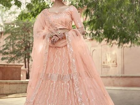 Myra Peach Soft Net Heavy Embroidered Lehenga Hot on Sale