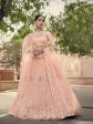 Myra Peach Soft Net Heavy Embroidered Lehenga Hot on Sale