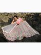 Myra Pink and Grey Net Embroidered Lehenga For Discount